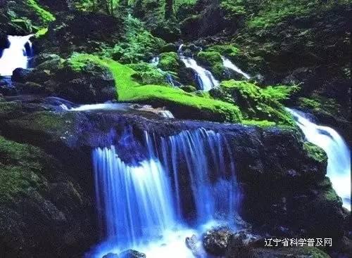 古装剧《岁岁青莲》正式登陆各大平台
